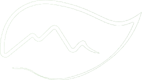 Logo logo2